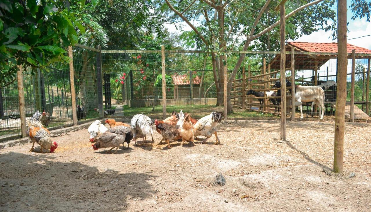 Chacara Maluco Beleza 2 Villa Gravata  Bagian luar foto